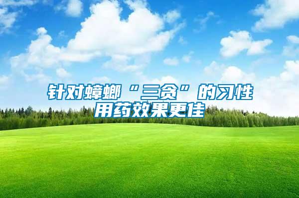 针对蟑螂“三贪”的习性用药效果更佳