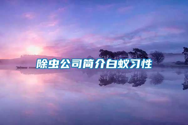 除虫公司简介白蚁习性