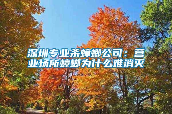 深圳专业杀蟑螂公司：营业场所蟑螂为什么难消灭