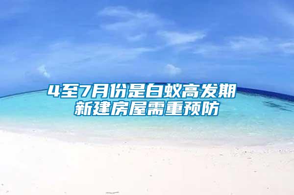 4至7月份是白蚁高发期 新建房屋需重预防