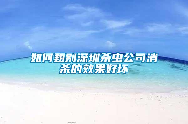 如何甄别深圳杀虫公司消杀的效果好坏
