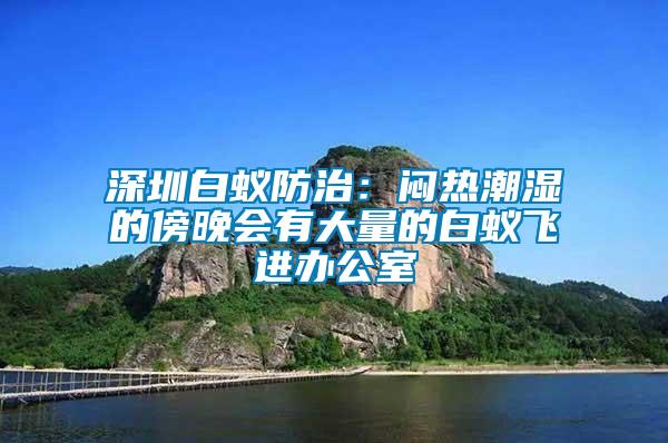 深圳白蚁防治：闷热潮湿的傍晚会有大量的白蚁飞进办公室