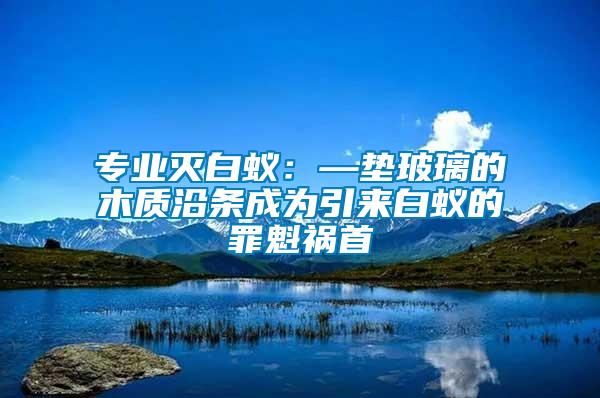 专业灭白蚁：—垫玻璃的木质沿条成为引来白蚁的罪魁祸首