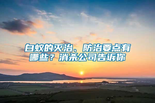 白蚁的灭治、防治要点有哪些？消杀公司告诉你