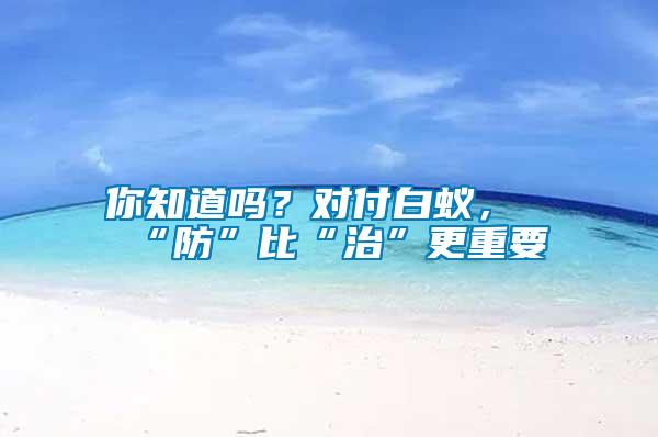 你知道吗？对付白蚁，“防”比“治”更重要