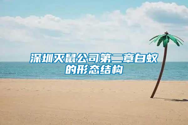 深圳灭鼠公司第二章白蚁的形态结构