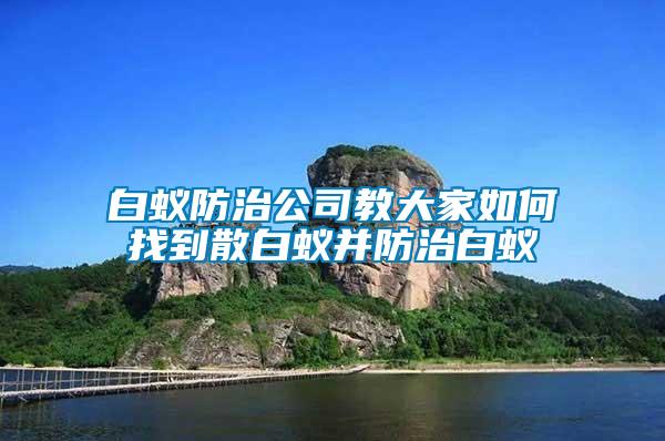 白蚁防治公司教大家如何找到散白蚁并防治白蚁