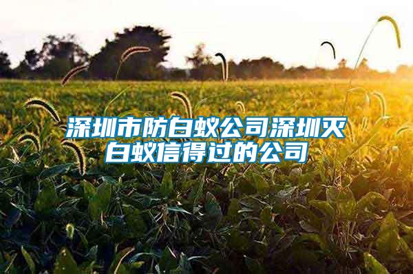 深圳市防白蚁公司深圳灭白蚁信得过的公司