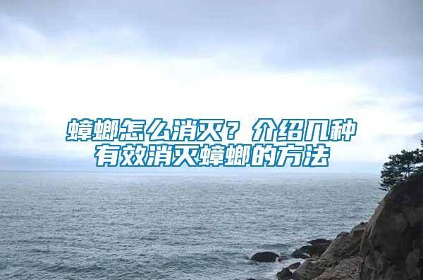 蟑螂怎么消灭？介绍几种有效消灭蟑螂的方法