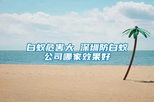 白蚁危害大 深圳防白蚁公司哪家效果好