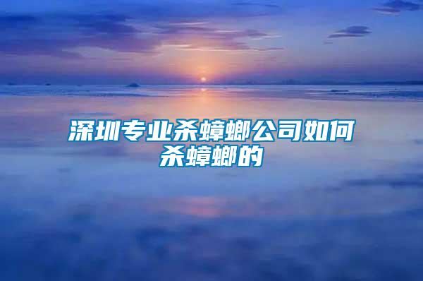 深圳专业杀蟑螂公司如何杀蟑螂的