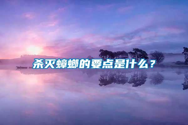 杀灭蟑螂的要点是什么？