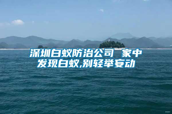 深圳白蚁防治公司 家中发现白蚁,别轻举妄动