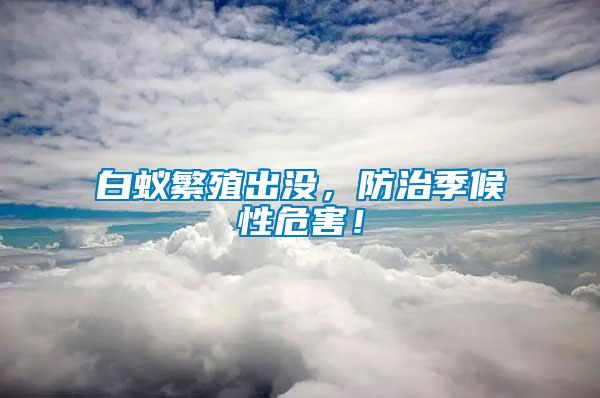 白蚁繁殖出没，防治季候性危害！