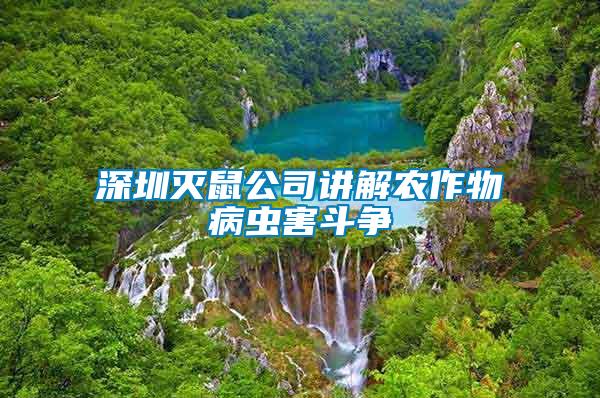 深圳灭鼠公司讲解农作物病虫害斗争