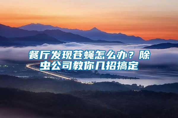 餐厅发现苍蝇怎么办？除虫公司教你几招搞定