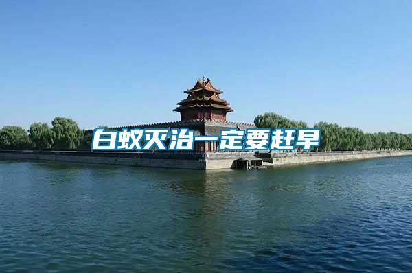 白蚁灭治一定要赶早