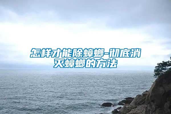 怎样才能除蟑螂-彻底消灭蟑螂的方法