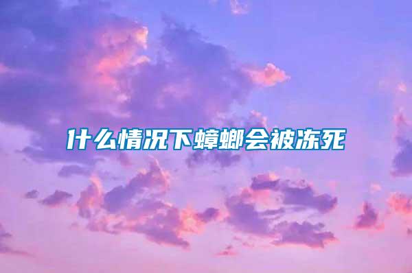 什么情况下蟑螂会被冻死