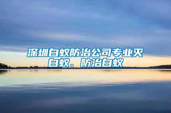 深圳白蚁防治公司专业灭白蚁、防治白蚁