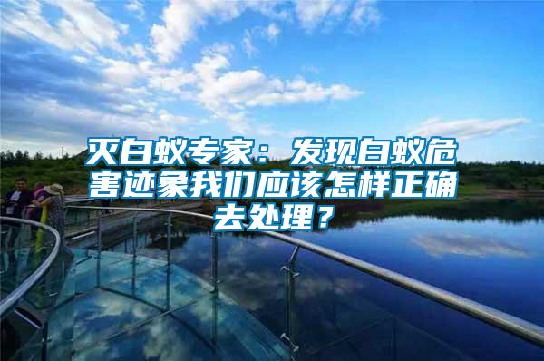 灭白蚁专家：发现白蚁危害迹象我们应该怎样正确去处理？