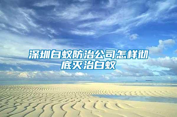 深圳白蚁防治公司怎样彻底灭治白蚁