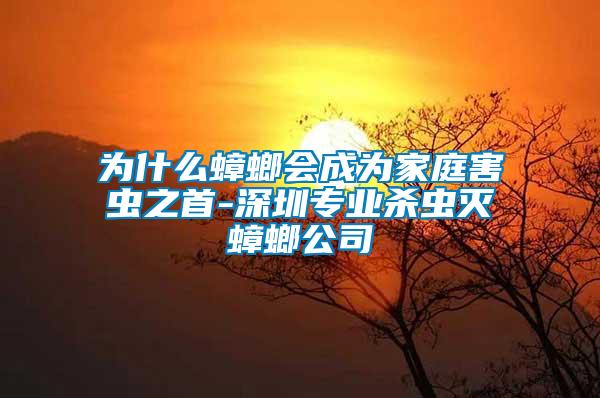 为什么蟑螂会成为家庭害虫之首-深圳专业杀虫灭蟑螂公司