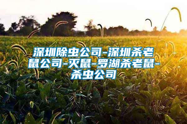 深圳除虫公司-深圳杀老鼠公司-灭鼠-罗湖杀老鼠-杀虫公司