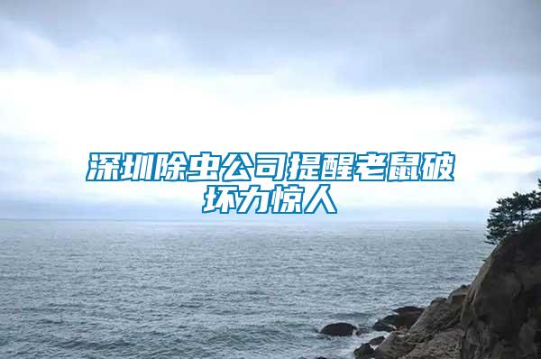 深圳除虫公司提醒老鼠破坏力惊人