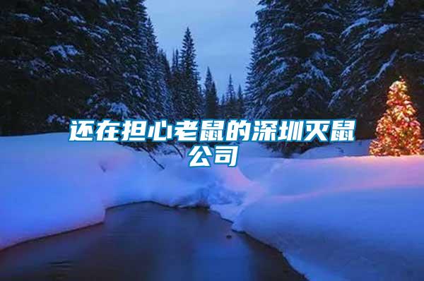 还在担心老鼠的深圳灭鼠公司