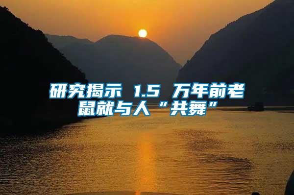 研究揭示 1.5 万年前老鼠就与人“共舞”