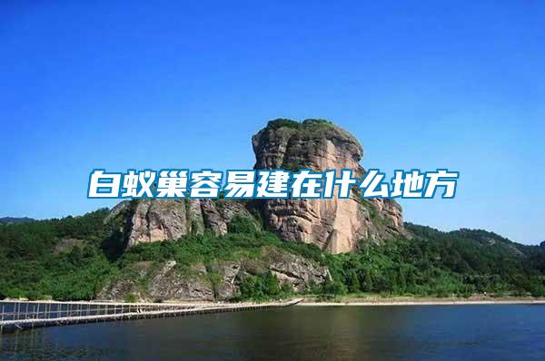 白蚁巢容易建在什么地方