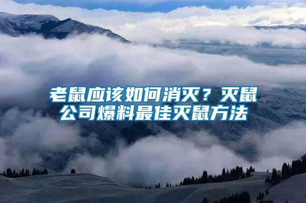 老鼠应该如何消灭？灭鼠公司爆料最佳灭鼠方法