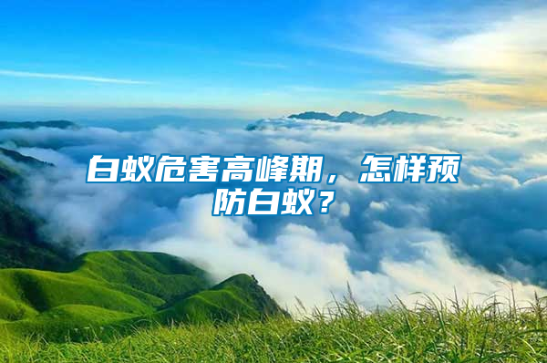 白蚁危害高峰期，怎样预防白蚁？