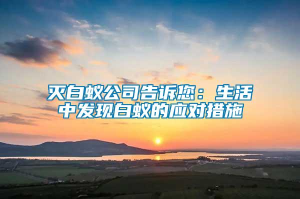 灭白蚁公司告诉您：生活中发现白蚁的应对措施