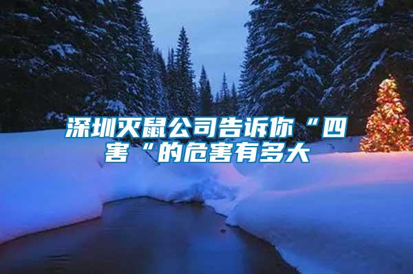 深圳灭鼠公司告诉你“四害“的危害有多大