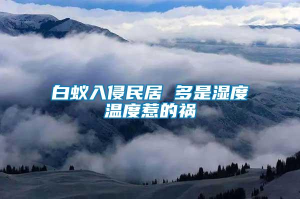 白蚁入侵民居 多是湿度温度惹的祸