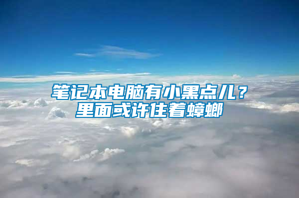 笔记本电脑有小黑点儿？里面或许住着蟑螂