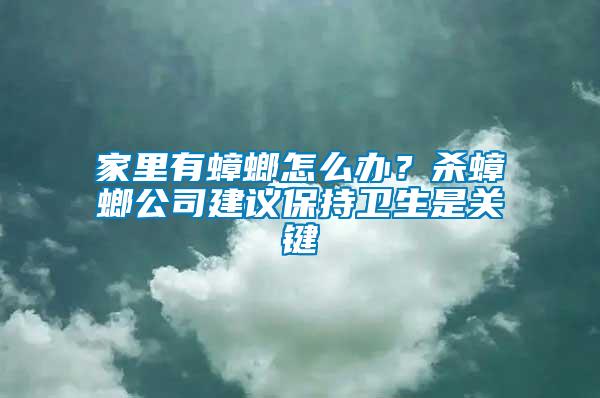 家里有蟑螂怎么办？杀蟑螂公司建议保持卫生是关键