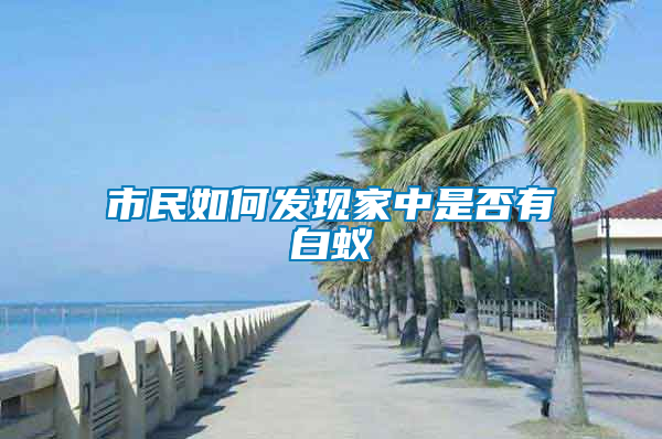 市民如何发现家中是否有白蚁