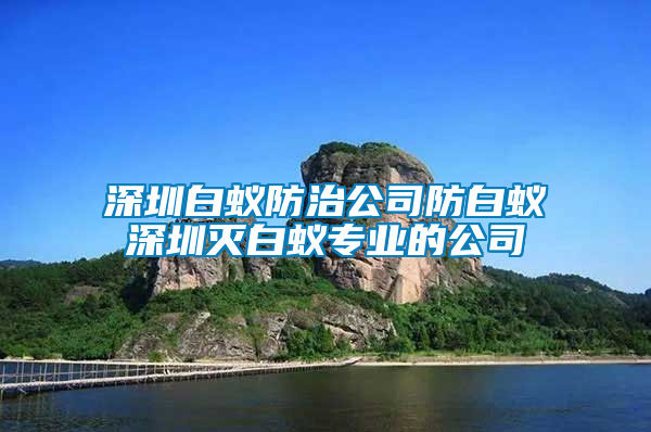 深圳白蚁防治公司防白蚁深圳灭白蚁专业的公司