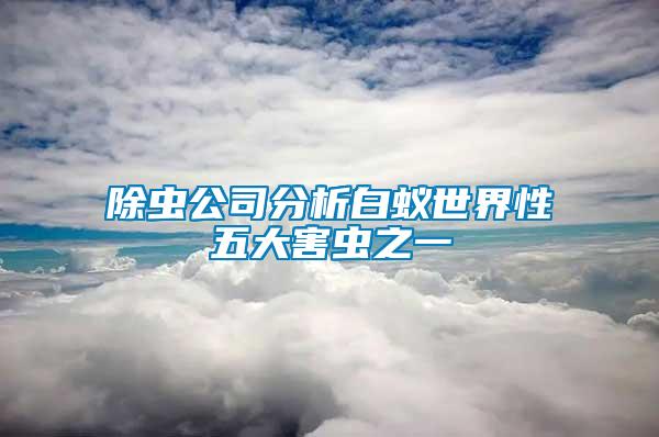 除虫公司分析白蚁世界性五大害虫之一
