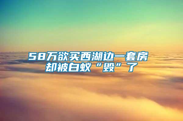 58万欲买西湖边一套房 却被白蚁“毁”了