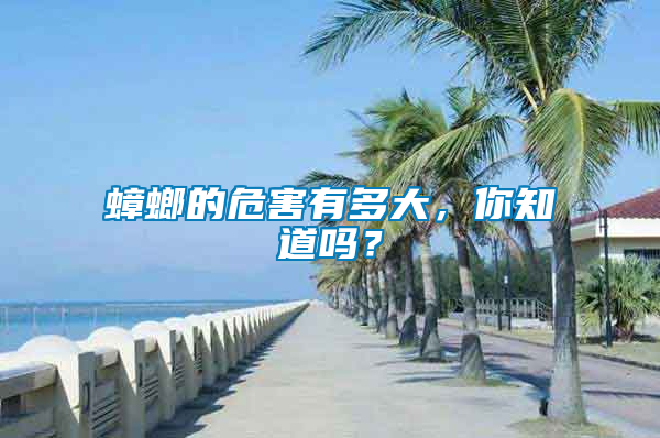 蟑螂的危害有多大，你知道吗？