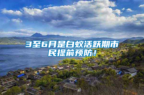 3至6月是白蚁活跃期市民提前预防！