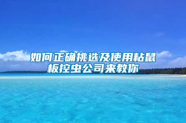 如何正确挑选及使用粘鼠板控虫公司来教你