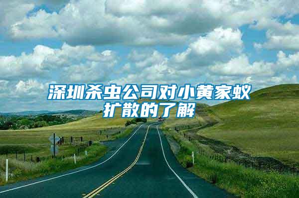 深圳杀虫公司对小黄家蚁扩散的了解