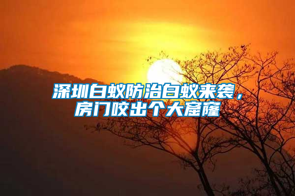 深圳白蚁防治白蚁来袭，房门咬出个大窟窿