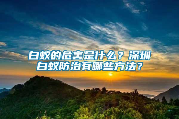 白蚁的危害是什么？深圳白蚁防治有哪些方法？