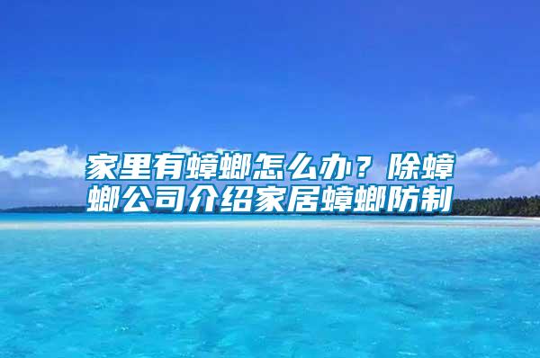 家里有蟑螂怎么办？除蟑螂公司介绍家居蟑螂防制